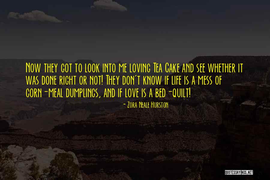 Cake That Look Quotes By Zora Neale Hurston Cake That Look Quotes By Zora Neale Hurston