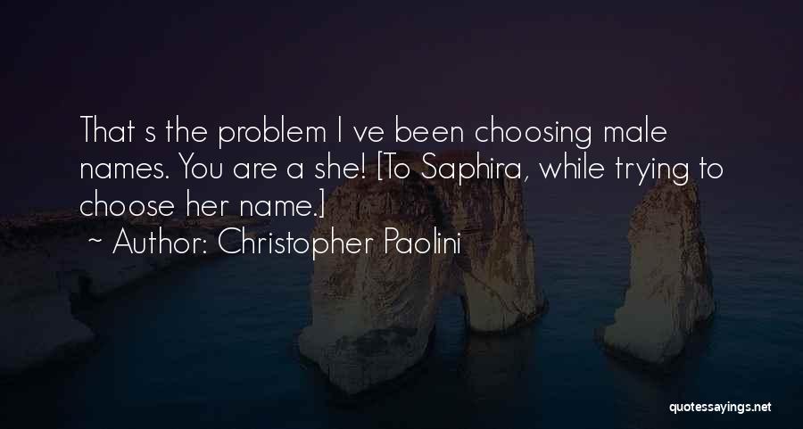 Cake Topper Quotes By Christopher Paolini