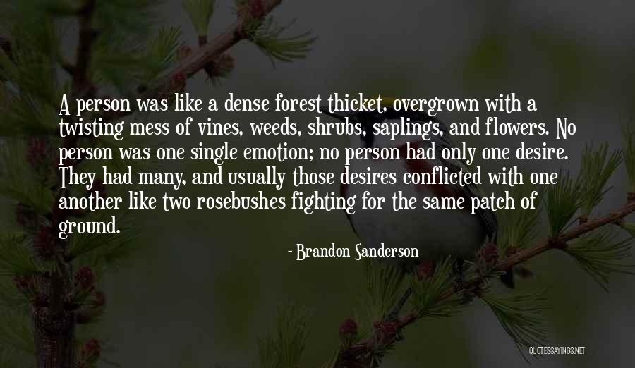 Cakeist Quotes By Brandon Sanderson Cakeist Quotes By Brandon Sanderson