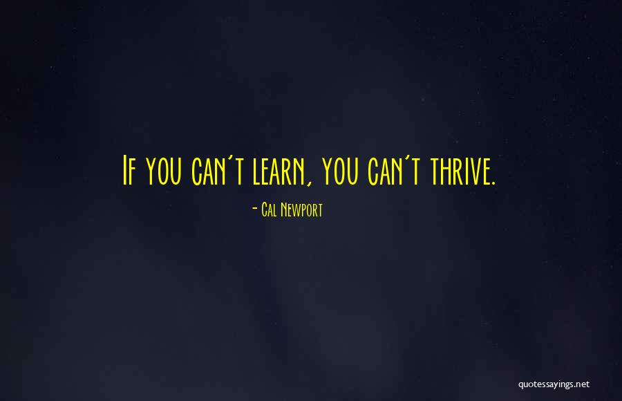 Cal Newport Quotes 1223408 Cal Newport Quotes 1223408