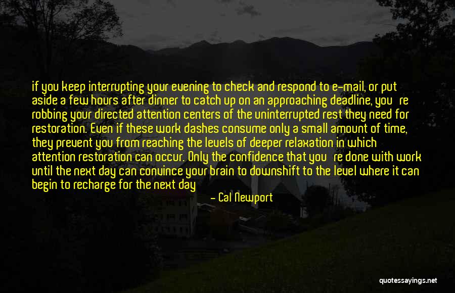 Cal Newport Quotes 377206