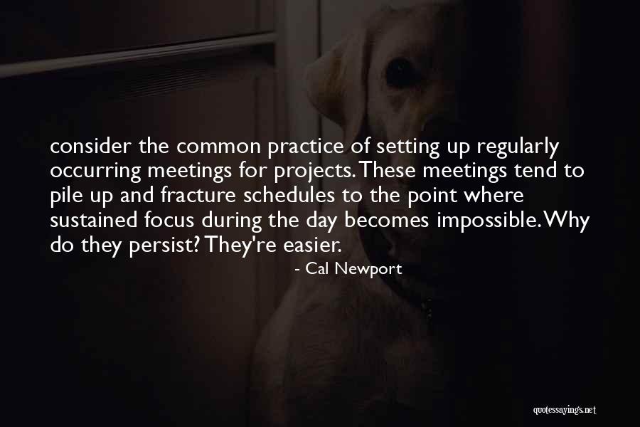 Cal Newport Quotes 840869