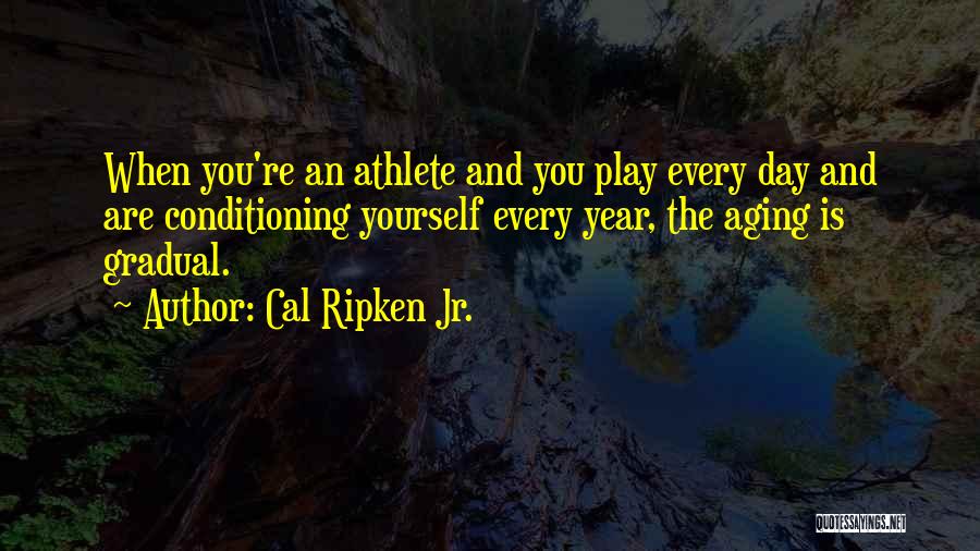 Cal Ripken Jr. Quotes 463361