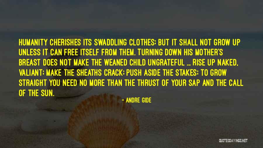 Calace On Foot Quotes By Andre Gide Calace On Foot Quotes By Andre Gide
