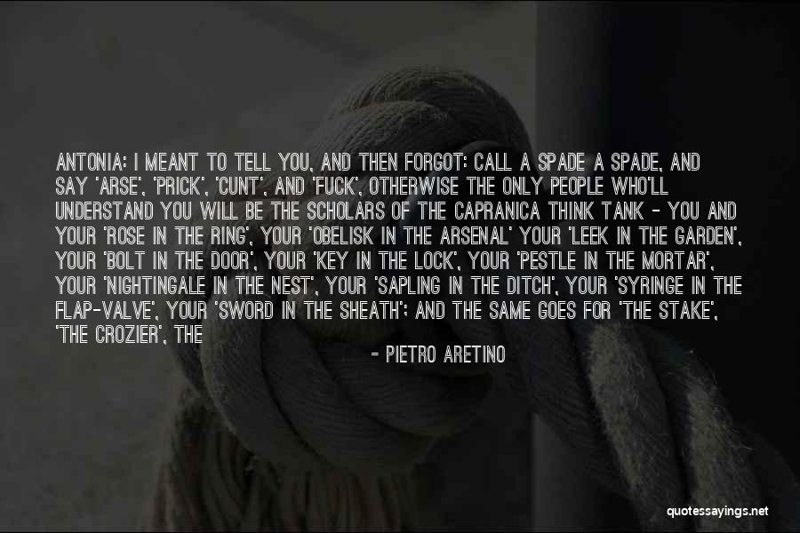 Calamia Electric Quotes By Pietro Aretino Calamia Electric Quotes By Pietro Aretino