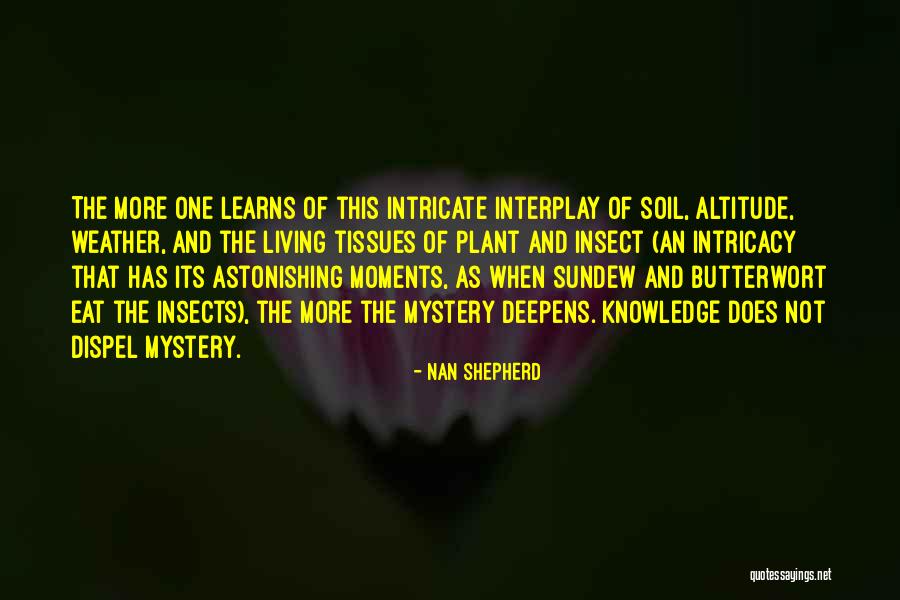 Calarco Chiropractic Quotes By Nan Shepherd Calarco Chiropractic Quotes By Nan Shepherd