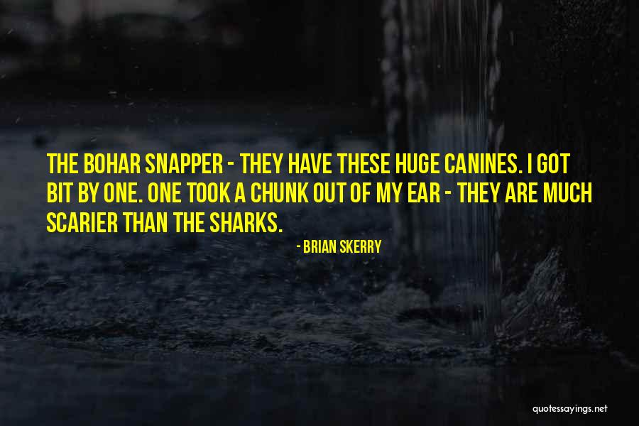 Calasanz Suba Quotes By Brian Skerry Calasanz Suba Quotes By Brian Skerry