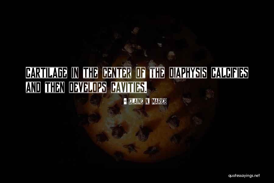 Calcifies Quotes By Elaine N. Marieb Calcifies Quotes By Elaine N. Marieb