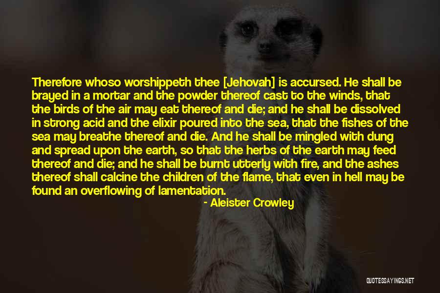Calcine Quotes By Aleister Crowley Calcine Quotes By Aleister Crowley