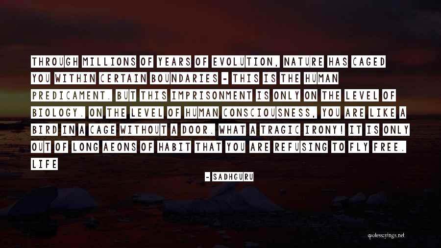 Calcined Bone Quotes By Sadhguru Calcined Bone Quotes By Sadhguru