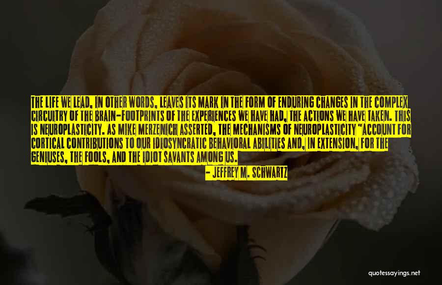 Calcionapoli24 Quotes By Jeffrey M. Schwartz Calcionapoli24 Quotes By Jeffrey M. Schwartz