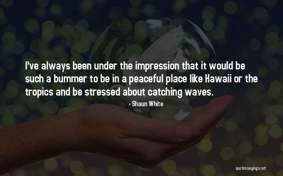 Calcular Prestaciones Quotes By Shaun White Calcular Prestaciones Quotes By Shaun White