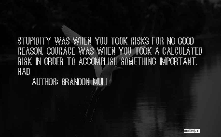 Calculated Risk Quotes By Brandon Mull