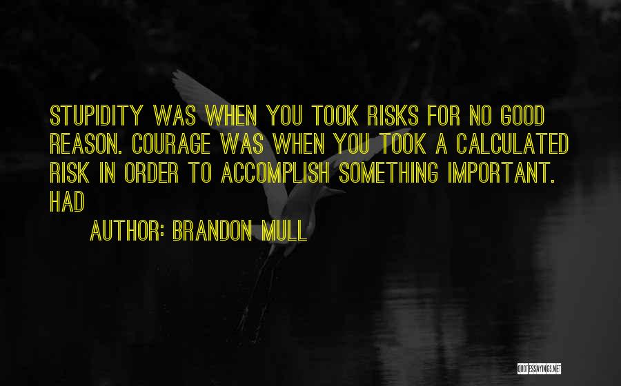 Calculated Risks Quotes By Brandon Mull