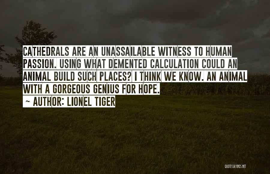 Calculation Quotes By Lionel Tiger