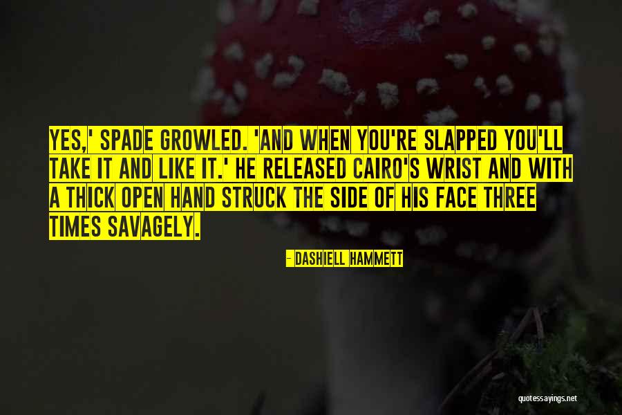 Caldaniccia Quotes By Dashiell Hammett Caldaniccia Quotes By Dashiell Hammett