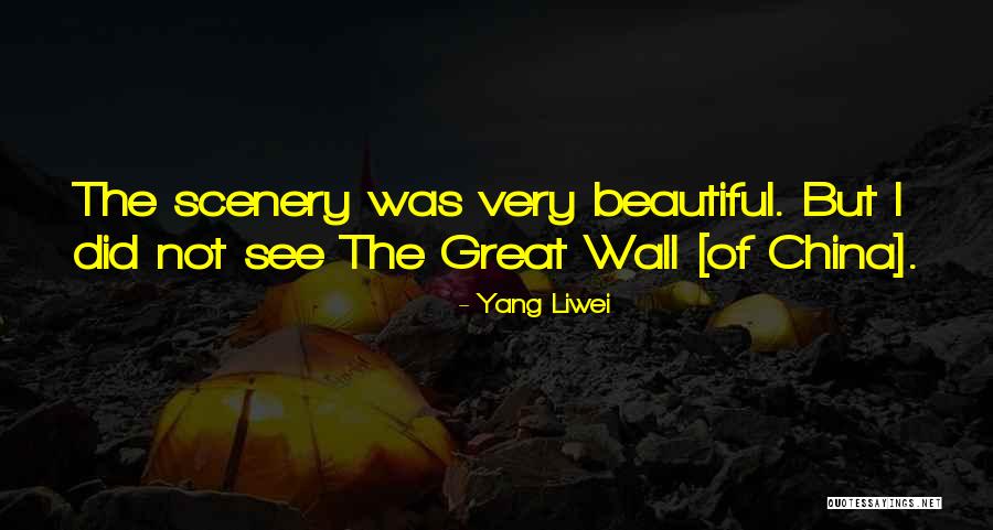 Caldarelli Unina Quotes By Yang Liwei Caldarelli Unina Quotes By Yang Liwei