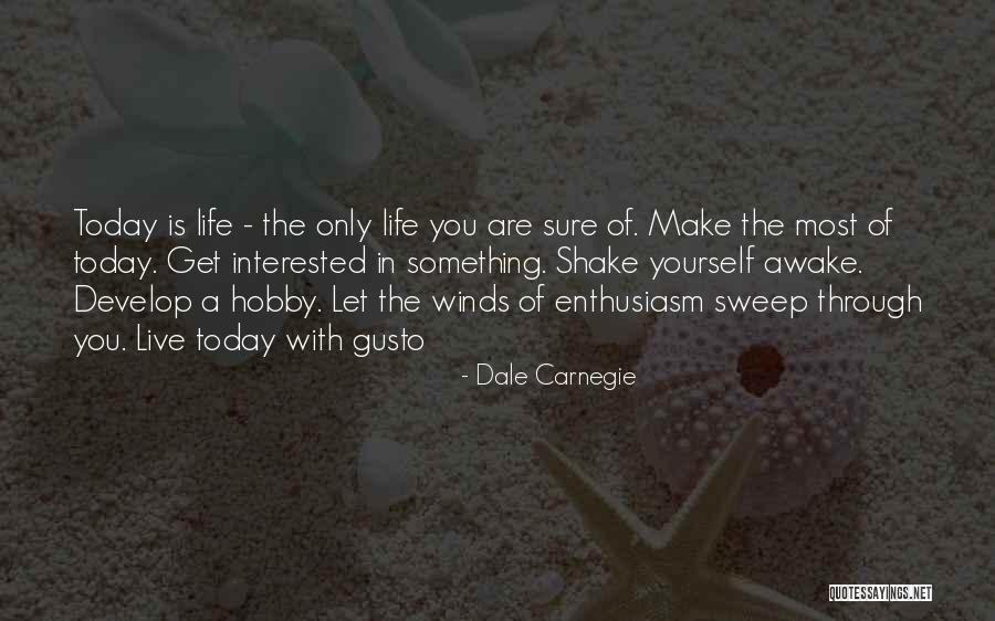Calder Mobiles Quotes By Dale Carnegie Calder Mobiles Quotes By Dale Carnegie