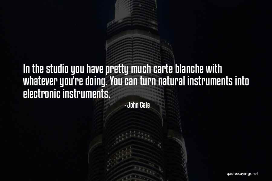 Cale Quotes By John Cale Cale Quotes By John Cale