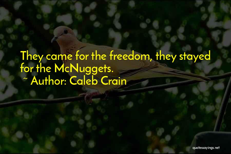 Caleb Crain Quotes 1097832