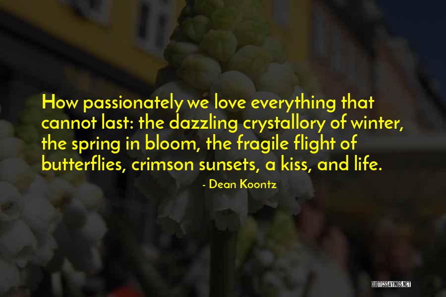 Calefaccion Solar Quotes By Dean Koontz Calefaccion Solar Quotes By Dean Koontz