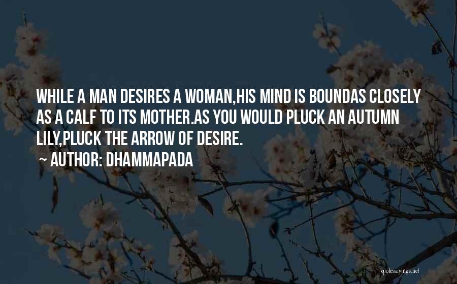 Calf Quotes By Dhammapada