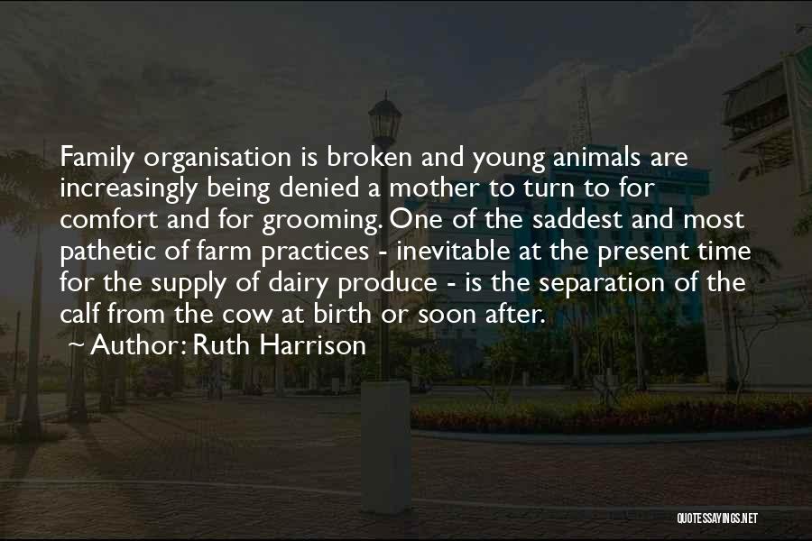 Calf Quotes By Ruth Harrison