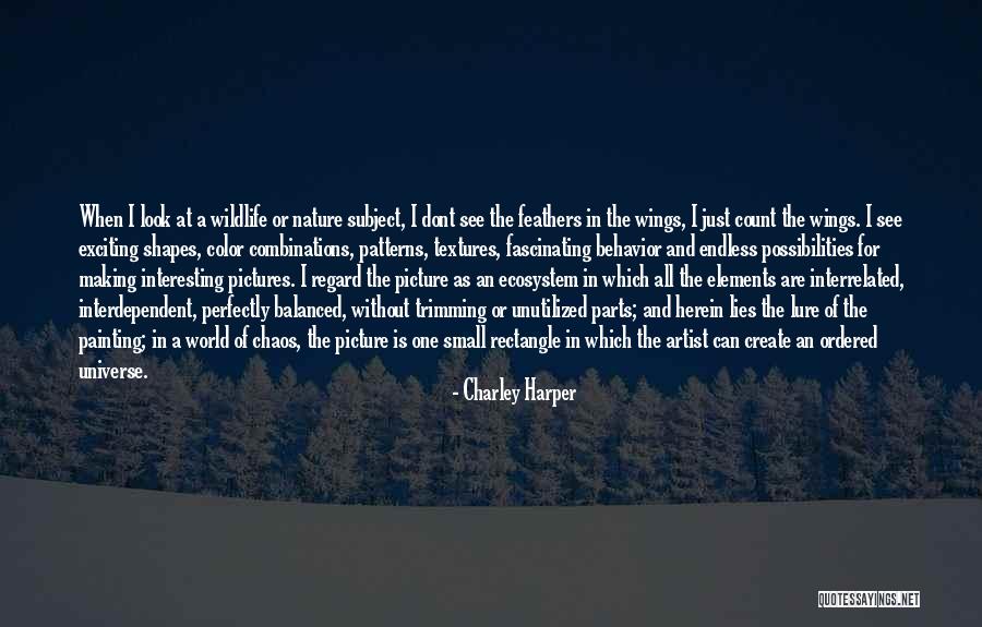 Calfs Or Calves Quotes By Charley Harper Calfs Or Calves Quotes By Charley Harper