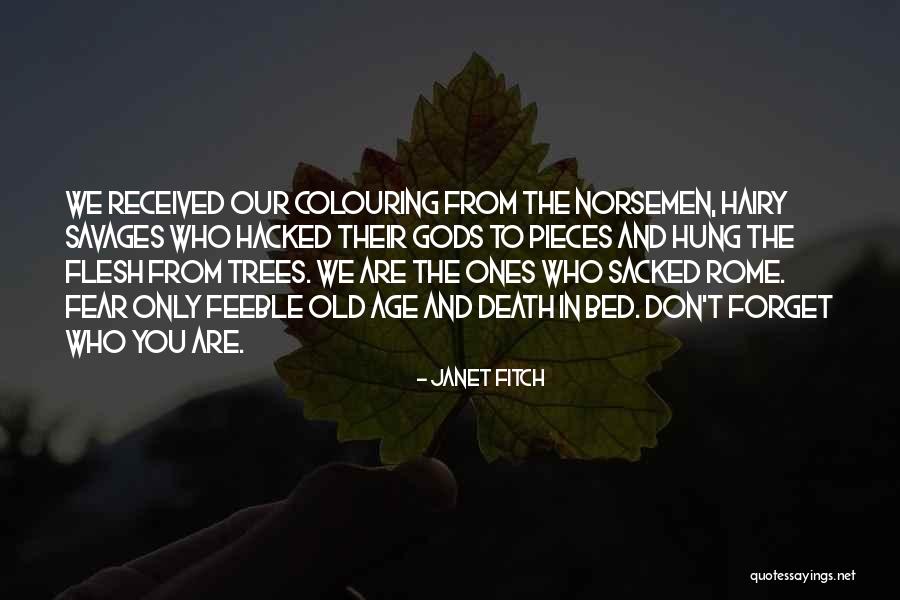 Calfs Or Calves Quotes By Janet Fitch Calfs Or Calves Quotes By Janet Fitch