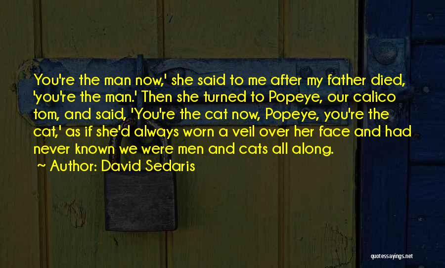 Calico Cat Quotes By David Sedaris