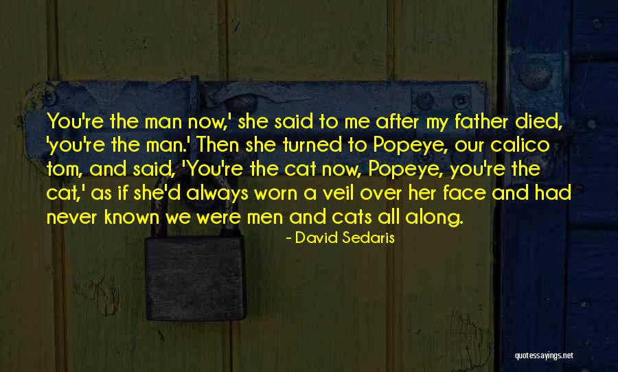 Calico Cat Quotes By David Sedaris