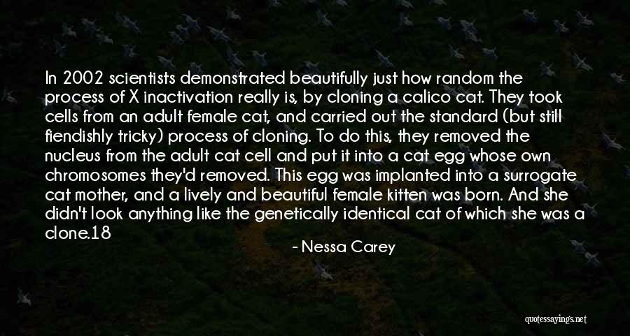 Calico Cat Quotes By Nessa Carey