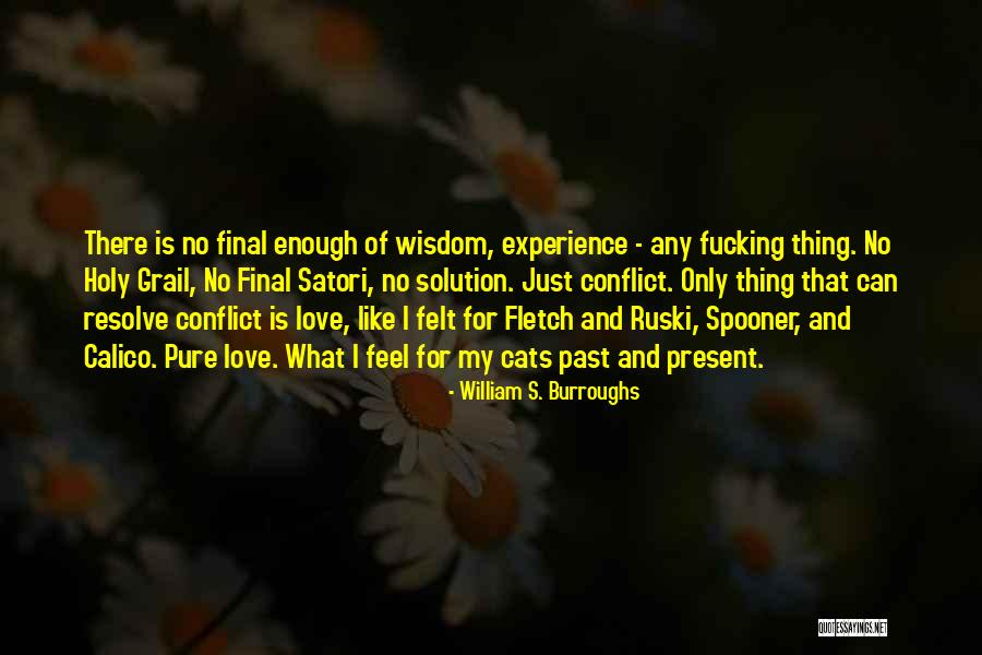 Calico Cats Quotes By William S. Burroughs