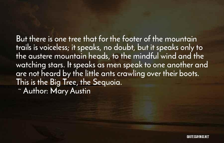 California Redwoods Quotes By Mary Austin