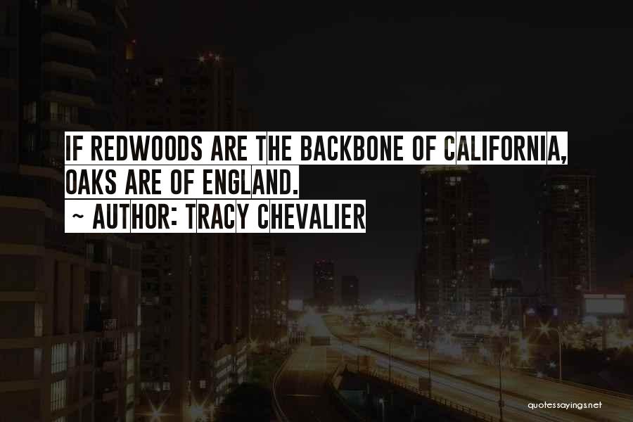 California Redwoods Quotes By Tracy Chevalier