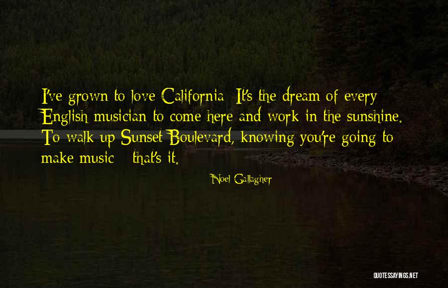 California Sunshine Quotes By Noel Gallagher