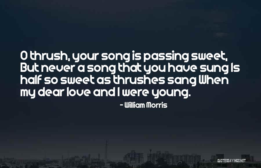 California Surfer Quotes By William Morris California Surfer Quotes By William Morris
