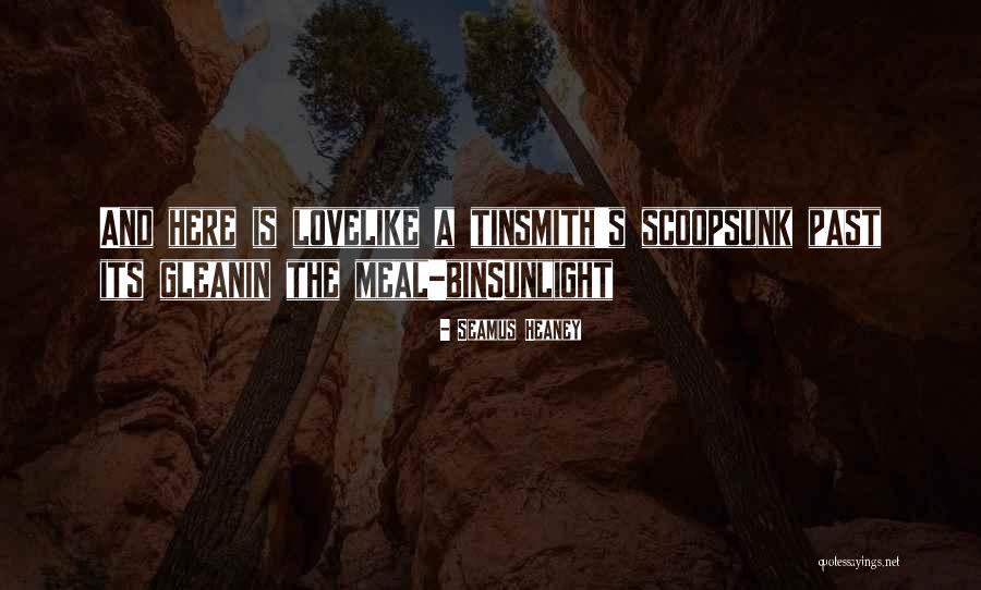 Calisher Terry Quotes By Seamus Heaney Calisher Terry Quotes By Seamus Heaney
