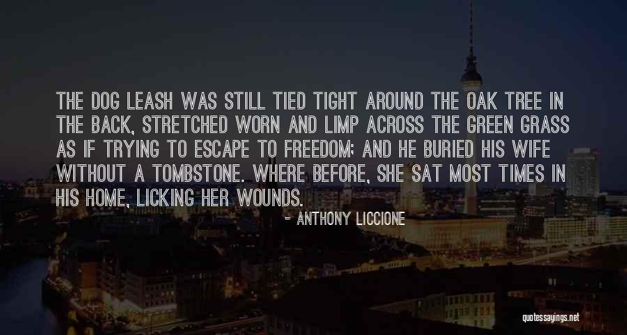Call For Car Insurance Quotes By Anthony Liccione Call For Car Insurance Quotes By Anthony Liccione