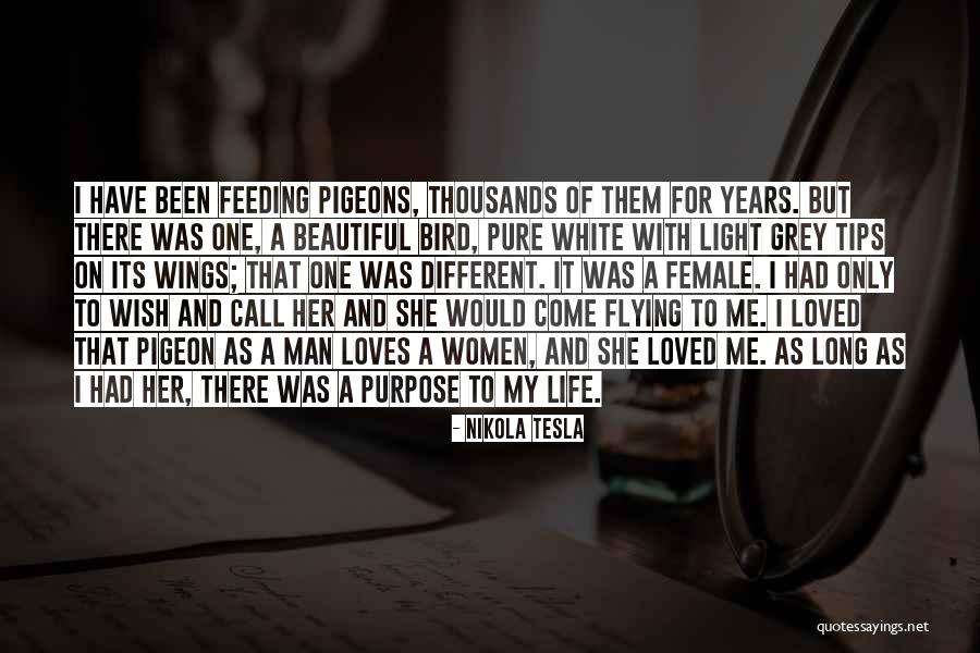 Call Her Quotes By Nikola Tesla Call Her Quotes By Nikola Tesla