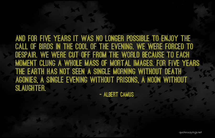 Call Me Images With Quotes By Albert Camus Call Me Images With Quotes By Albert Camus