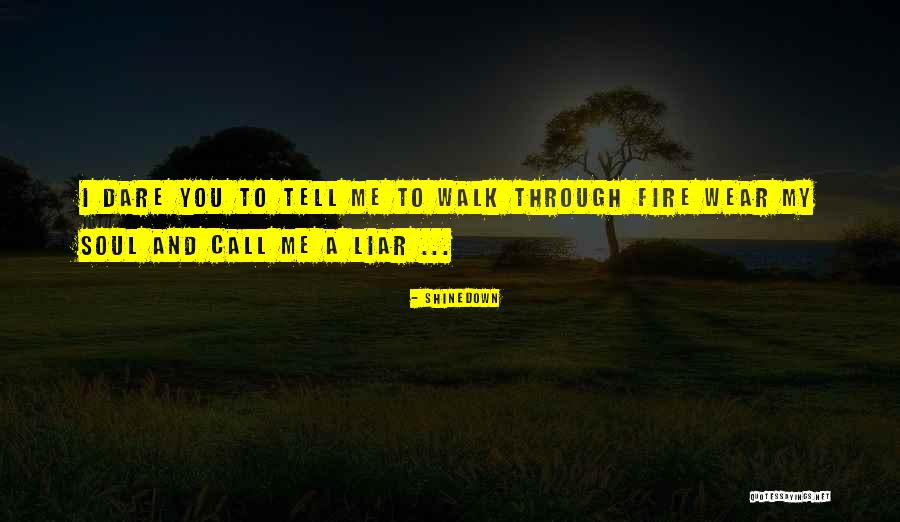 Call Me Shinedown Quotes By Shinedown Call Me Shinedown Quotes By Shinedown