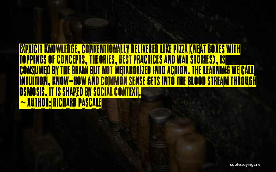 Call Of Action Quotes By Richard Pascale