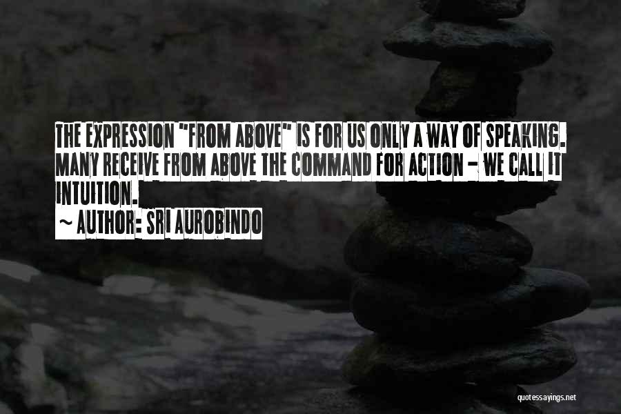 Call Of Action Quotes By Sri Aurobindo