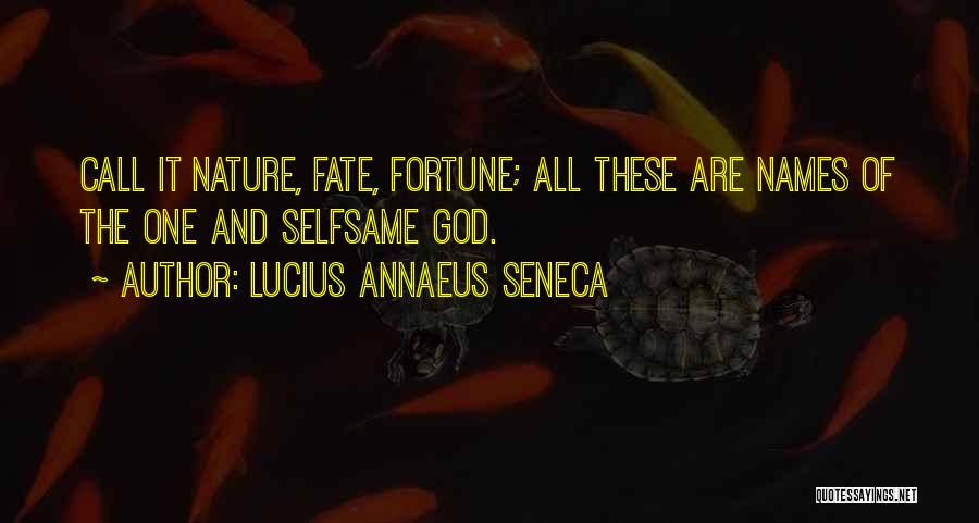 Call Of God Quotes By Lucius Annaeus Seneca