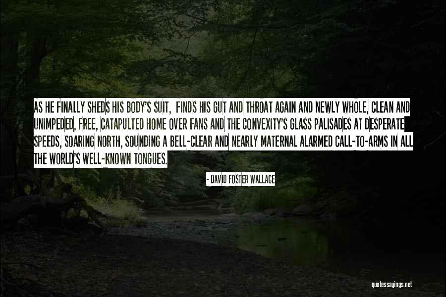 Call To Arms Quotes By David Foster Wallace