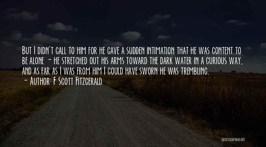 Call To Arms Quotes By F Scott Fitzgerald