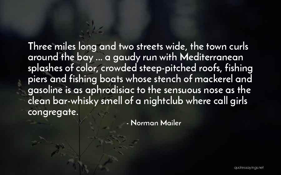 Call To Bar Quotes By Norman Mailer Call To Bar Quotes By Norman Mailer