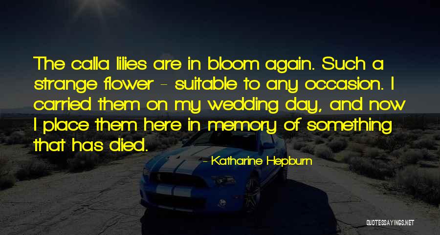 Calla Lilies Quotes By Katharine Hepburn Calla Lilies Quotes By Katharine Hepburn