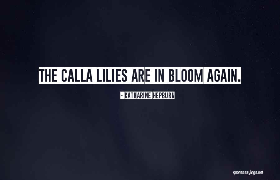 Calla Lilies Quotes By Katharine Hepburn Calla Lilies Quotes By Katharine Hepburn